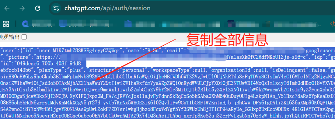 GPT充值步骤6-1：复制Token
